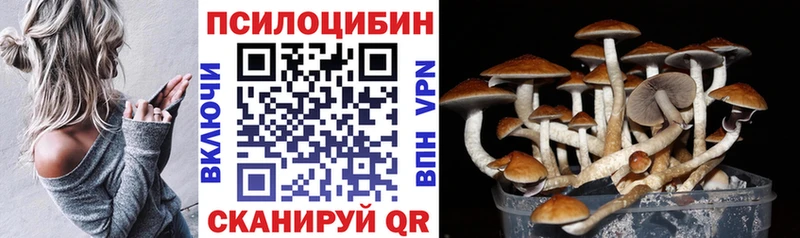 Галлюциногенные грибы Psilocybine cubensis  Купить  Севастополь 